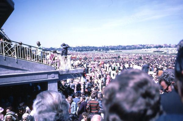 Crowds at 1972 Melbourne Cup, Flemington Racecourse, Melbourne
